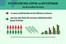 Infografía: Actualización sobre la situación del Covid-19 en Vietnam - 25 de octubre de 2023