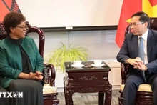 El viceprimer ministro y canciller vietnamita, Bui Thanh Son, y la canciller de Malawi, Nancy Tempo. (Foto: VNA)