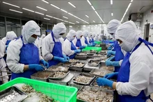 Aumenta valor de exportaciones acuáticas de Vietnam en nueve meses