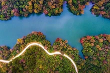 Otoño en el lago Ban Viet (del autor Vu Bao Ngoc) - Obra ganadora del primer premio del concurso "Hermosas fotos del Geoparque Global Non Nuoc Cao Bang de la Unesco y Turismo de Cao Bang" en 2019. (Fotografía: vietnamtourism.gov.vn)