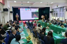 Panorama del evento.