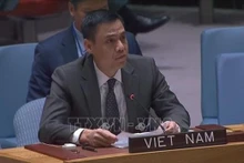 El embajador Dang Hoang Giang, representante permanente de Vietnam ante la ONU. (Fotografía: VNA)