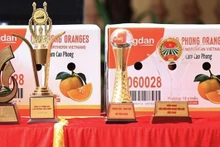 Marca de naranja Cao Phong (Fotografía: VNA)