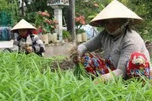 Foto de ilustración (Fuente: laodongxahoi.net)