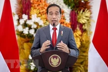 El presidente indonesio, Joko Widodo (Fotografía: AFP/VNA)