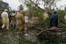 Las fuerzas funcionales de la provincia central de Quang Nam superan las consecuencias de la tormenta Noru. (Foto: VNA) 