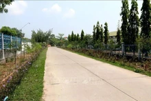 En una zona rural de la provincia de Binh Thuan. (Foto: VNA)