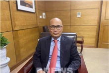 Luong Hoang Thai, director del Departamento de Política Comercial Multilateral. (Foto: VNA)