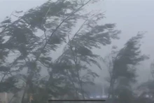 Vientos y lluvias en la isla de Bach Long Vi. (Foto: VNA)