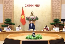 El viceprimer ministro permanente de Vietnam, Nguyen Hoa Binh, preside la reunión (Foto: VNA)