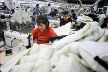 Producen prendas de alta calidad para exportar al mercado surcoreano en empresa vietnamita de Bac Giang. (Foto: VNA)