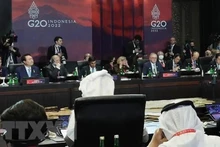 En la cumbre del Grupo de los 20 países industrializados y emergentes (Fotografía: YONHAP/VNA)