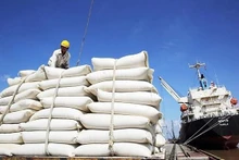 El arroz vietnamita para la exportación (Fotografía: nongnghiep.vn)
