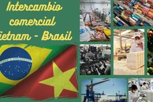 Intercambio comercial Vietnam-Brasil ronda los ocho mil millones de dólares en 2024 