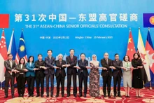 Los delegados participantes en la 31 Consulta de Altos Funcionarios China-Asean. (Foto: VNA)