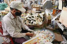 La Empresa Viet Thang se especializa en el procesamiento de productos químicos fitosanitarios y alimentos para animales, y en la producción de fertilizantes para el mercado interno y para exportar a Laos y Camboya. (Foto: VNA)