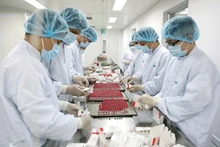 Producción de vacunas en una empresa (Fotografía: VNA)
