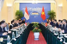 El panorama del encuentro (Foto: Ministerio de Relaciones Exteriores de Vietnam)