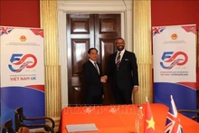 El ministro de Relaciones Exteriores de Vietnam, Bui Thanh Son, y su homólogo británico, James Cleverly (derecha) (Fotografía:VNA)