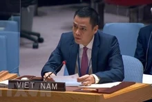 El embajador Dang Hoang Giang, representante permanente de Vietnam ante las Naciones Unidas. (Fotografía: VNA)