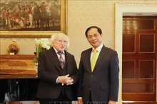 El ministro de Relaciones Exteriores de Vietnam, Bui Thanh Son (actualmente también viceprimer ministro), fue recibido en febrero de 2024 por el presidente de Irlanda, Michael D. Higgins. (Foto: VNA)