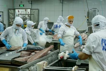 Visita de máximo dirigente de Vietnam a Irlanda abrirá nueva puerta para lazos comerciales