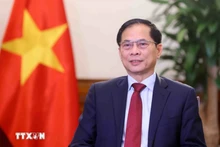 El viceprimer ministro y canciller vietnamita, Bui Thanh Son. (Foto: VNA)