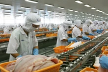 Exportaciones de productos acuáticos en julio registran mayor valor desde principios de 2024