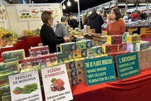 El pabellón vietnamita atrae a multitudes de visitantes, no solo del país galo sino también de otras naciones occidentales. (Fotografía: VNA)