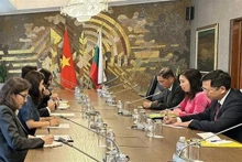 Panorama de la reunión (Fotografía: VNA)