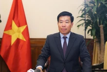 El viceministro de Relaciones Exteriores de Vietnam Nguyen Manh Cuong (Foto: baochinhphu.vn)