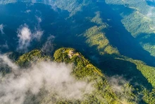 Parque nacional Bach Ma. (Fotografía: vnexpress)