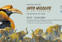 Exposición "Into Wildlife" (Fotografía: vnmedia.vn)