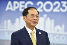 El ministro de Relaciones Exteriores de Vietnam, Bui Thanh Son.