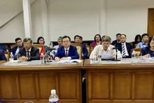 El panorama de la reunión. (Foto: VNA)