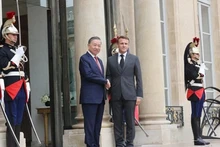 El secretario general del Partido Comunista de Vietnam, To Lam, y el presidente francés, Emmanuel Macron. (Foto: VNA)