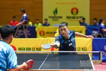 [Foto] Mejores tenimesistas se reúnen en Campeonato Nacional de Tenis de Mesa del periódico Nhan Dan 2025