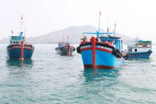 Los barcos pesqueros en Ninh Thuan (Fuente: VNA)