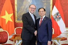 El ministro de Relaciones Exteriores de Vietnam, Bui Thanh Son, y su homólogo austriaco, Alexander Schallenberg (Fotografía: VNA) 