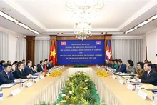 El panorama de la reunión. (Foto: VNA)