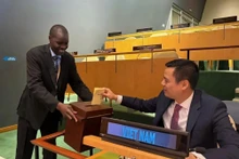 El embajador Dang Hoang Giang, representante permanente de Vietnam en la ONU realiza el voto. (Foto: VNA)
