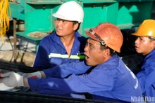 [Foto] Belleza en el trabajo y la producción