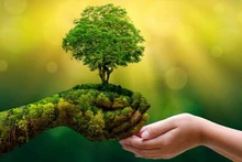 Foto de ilustración (Fuente: thiennhien.net)