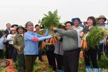 [Foto] Primer ministro visita modelos de producción agrícola de Hai Duong