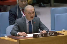 Nguyen Hoang Nguyen, subjefe de la delegación permanente de Vietnam ante las Naciones Unidas (Foto: VNA)