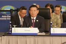 El ministro de Finanzas vietnamita, Ho Duc Phoc, en la Reunión de Ministros de Finanzas del Foro de Cooperación Económica Asia-Pacífico (Fotografía: VNA)