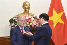El ministro de Relaciones Exteriores de Vietnam, Bui Thanh Son, entrega la Orden de Amistad a Kambiz Ghawami (Fotografía: VNA)