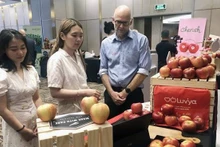 Una empresa neozelandesa introduce sus productos a clientes vietnamitas (Fotografía: VNA)