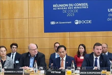 El ministro de Relaciones Exteriores de Vietnam, Bui Thanh Son, en la cita (Fotografía: VNA)
