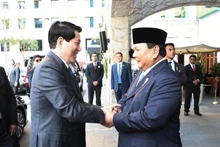 El presidente de Vietnam, Luong Cuong, y el presidente indonesio, Prabowo Subianto.
